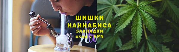 каннабис Белокуриха